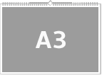 A3