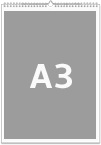 A3